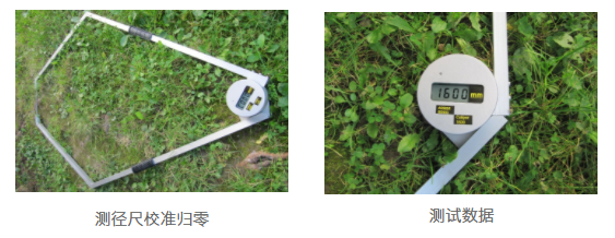 AG真人·国际(中国游)平台官方网站