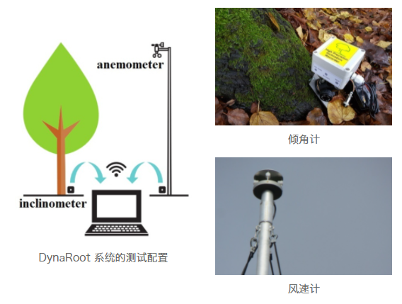 AG真人·国际(中国游)平台官方网站